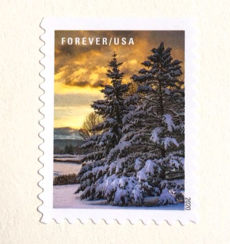 100 Evergreen Forever Stamps for Mailing Winter Pine Tree Forever Stamps For Mailing Holiday Cards or Wedding Invitations
